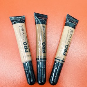 LA Girl Pro Conceal